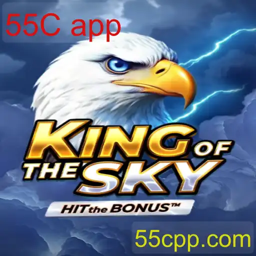 KingOfTheSky